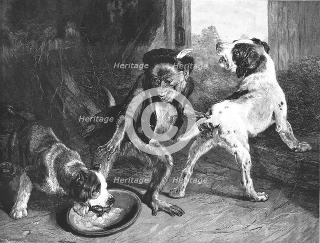 ''The Intruding Puppies, after Sir Edwin Landseer, RA', 1891. Creator: Harrison.