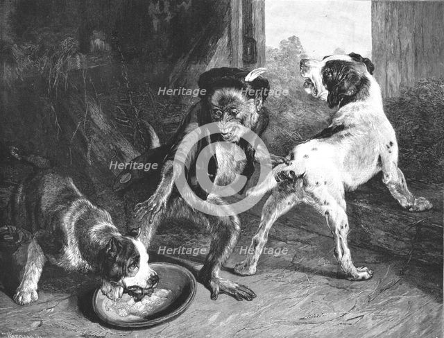 ''The Intruding Puppies, after Sir Edwin Landseer, RA', 1891. Creator: Harrison.