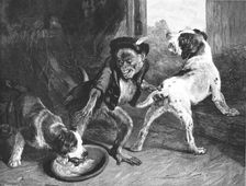 'The Intruding Puppies, after Sir Edwin Landseer, RA 1891. Creator: Harrison