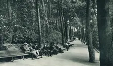 The Invalid's Walk c1910
