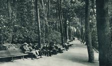 The Invalid's Walk c1910