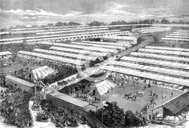 The Irish Royal Agricultural Society's Show at Dublin, 1871. Creator: Unknown.
