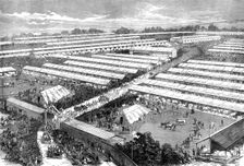The Irish Royal Agricultural Society's Show at Dublin, 1871. Creator: Unknown