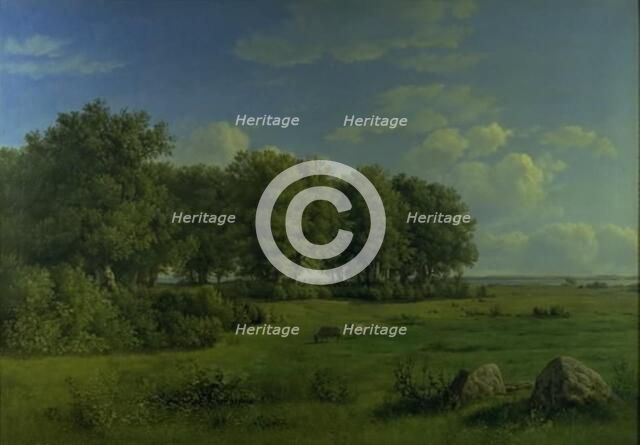 The Island of Brandso with Wedellsborg Forest, Funen, in the Distance, 1843. Creator: Dankvart Dreyer.