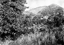 The Island of Montserrat (West Indies) - Manager's House, 1895. Creator: Unknown