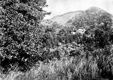 The Island of Montserrat (West Indies) - Manager's House, 1895. Creator: Unknown