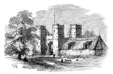 The Isle of Thanet: Daundelion, 1873. Creator: Unknown