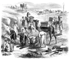 The Isthmus of Suez Maritime Canal: workmen loading dromedaries, 1869. Creator: Unknown