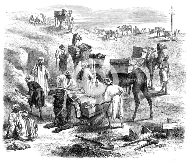 The Isthmus of Suez Maritime Canal: workmen loading dromedaries, 1869. Creator: Unknown.