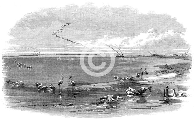 The Isthmus of Suez Maritime Canal: Lake Menzaleh, 1869. Creator: Unknown.