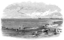 The Isthmus of Suez Maritime Canal: Lake Menzaleh, 1869. Creator: Unknown