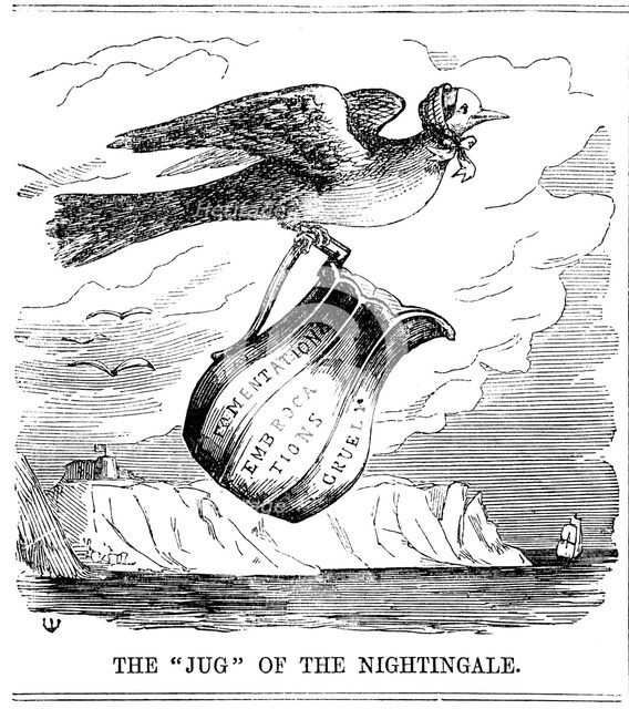 'The "Jug of the Nightingale', 1854. Creator: Unknown.