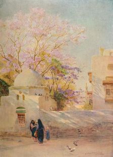 The Jacaranda c1905, (1912). Artist: Walter Frederick Roofe Tyndale