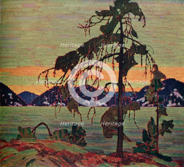The Jack Pine, 1917. (1925). Artist: Thomas John Thomson
