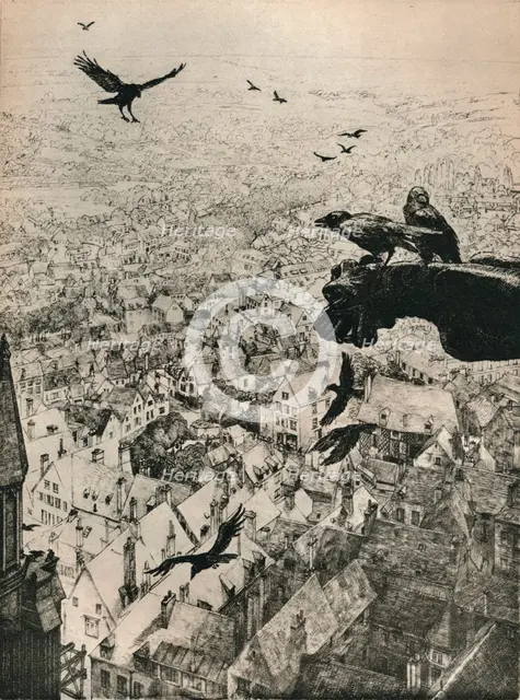 'The Jackdaws of Chartres', 1917. Artist: George Marples.