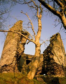 The keep with trees, Longtown Castle, Herefordshire, 1992