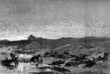 The Khiva Expedition: liberated Persian slaves slain by Turkomans, 1873. Creator: William Biscombe Gardner