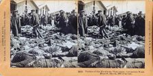 The Khodynka Tragedy, 1896