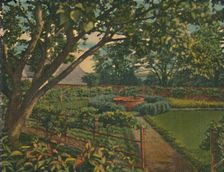 The Kitchen Garden 1946