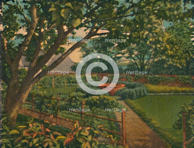 'The Kitchen Garden', 1946. Artist: Unknown.