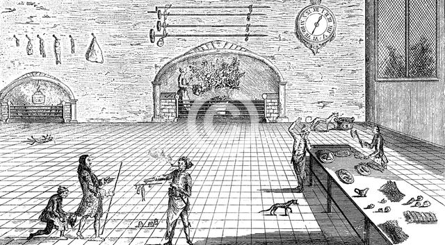 'The Kitchen Metamorphosed', 1762. Artist: Unknown