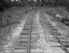 The lumber mill closed, the track is being torn up, Careyville, Florida, 1937. Creator: Dorothea Lange