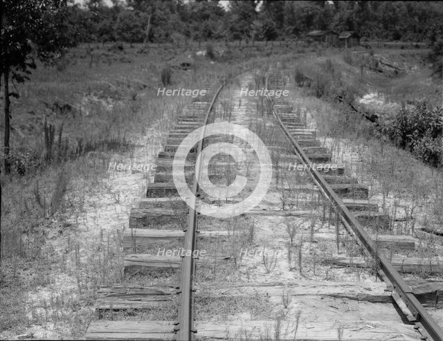 The lumber mill closed, the track is being torn up, Careyville, Florida, 1937. Creator: Dorothea Lange.