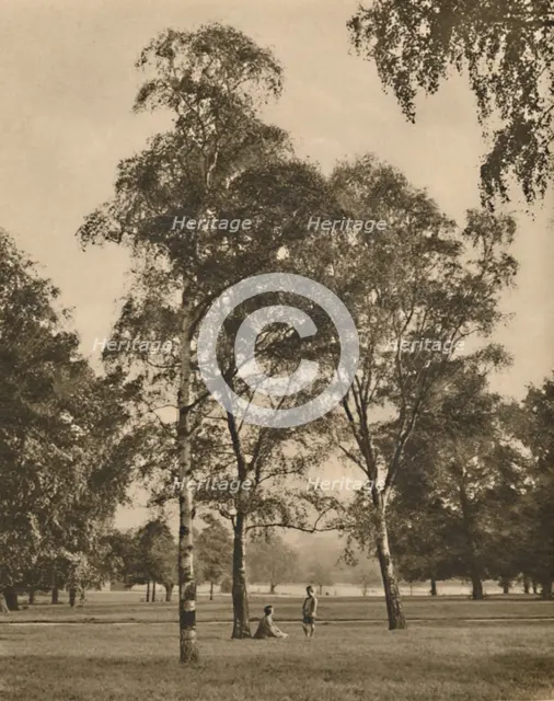 'The Lace-Work of the Leaves: A Summer Morning in Hyde Park', c1935. Creator: Donald McLeish.