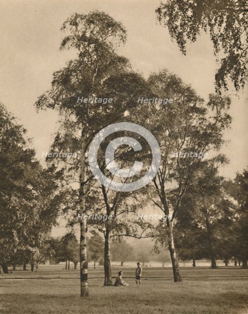 'The Lace-Work of the Leaves: A Summer Morning in Hyde Park', c1935. Creator: Donald McLeish.