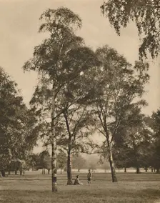 The Lace-Work of the Leaves: A Summer Morning in Hyde Park c1935. Creator: Donald McLeish