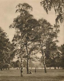 The Lace-Work of the Leaves: A Summer Morning in Hyde Park c1935. Creator: Donald McLeish