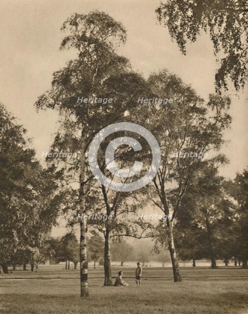 'The Lace-Work of the Leaves: A Summer Morning in Hyde Park', c1935. Creator: Donald McLeish.