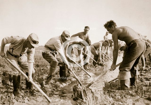 The Labour Service at work, Germany, 1936.  Creator: Unknown.