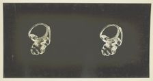 The Labyrinth of Animals; Including Mammals, Birds, Reptiles, & Amphibians - Vol. I, 1907; 1900/08. Creator: Unknown