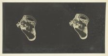 The Labyrinth of Animals; Including Mammals, Birds, Reptiles, & Amphibians - Vol. II, 1900/08. Creator: Unknown