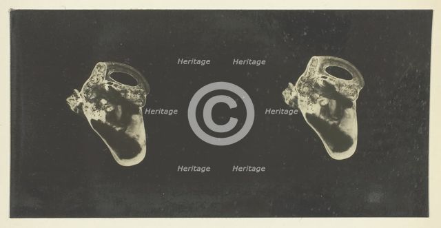 The Labyrinth of Animals; Including Mammals, Birds, Reptiles, & Amphibians - Vol. II, 1900/08. Creator: Unknown.
