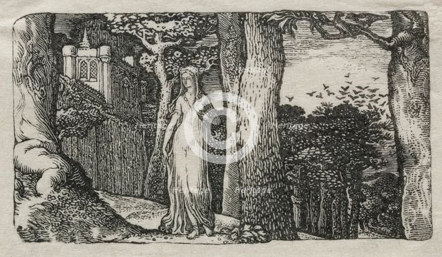 The Lady and the Rooks, 1829. Creator: Edward Calvert (British, 1799-1883).