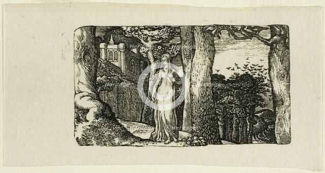 The Lady and the Rooks, n.d. Creator: Edward Calvert.