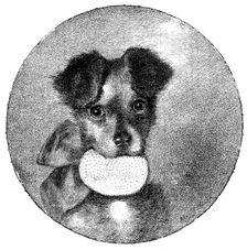 The Lady’s Pet, 1890. Creator: Unknown