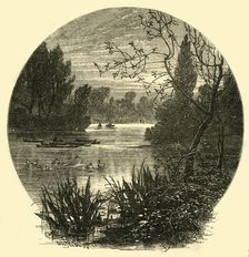 The Lake, Battersea Park (c1878). Creator: Unknown