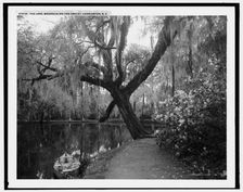 The Lake, Magnolia-on-the-Ashley, Charleston, S.C., c1907. Creator: Unknown