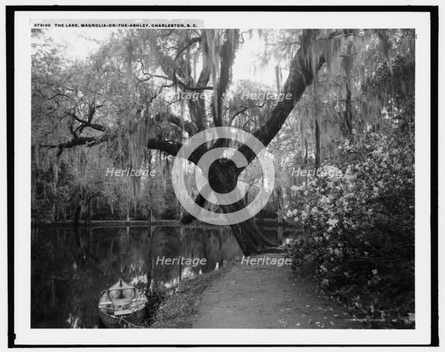 The Lake, Magnolia-on-the-Ashley, Charleston, S.C., c1907. Creator: Unknown.