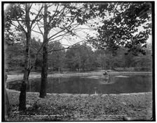 The Lake, Nay Aug Park, Scranton, Pa., between 1890 and 1901. Creator: Unknown