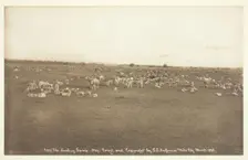 The Lambing Camp, 1894. Creator: Laton Alton Huffman