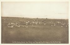 The Lambing Camp, 1894. Creator: Laton Alton Huffman