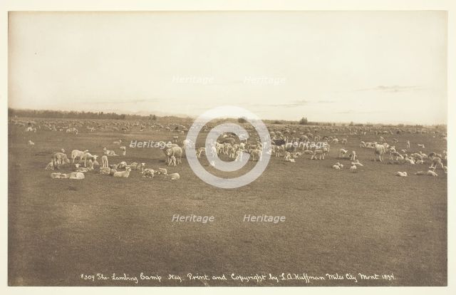 The Lambing Camp, 1894. Creator: Laton Alton Huffman.