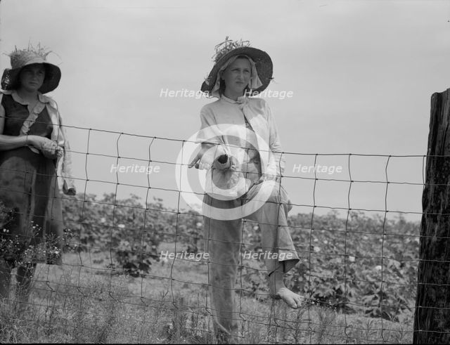 The landowner's daughter hoes cotton on a south Georgia farm, 1937. Creator: Dorothea Lange.