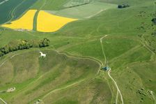 The Lansdowne Monument and Cherhill White Horse on Cherhill Down, Wiltshire, 2018. Creator: Amy Wright