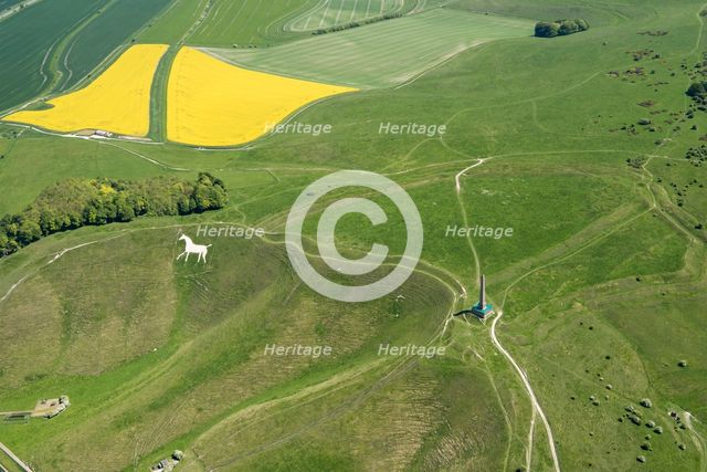 The Lansdowne Monument and Cherhill White Horse on Cherhill Down, Wiltshire, 2018. Creator: Amy Wright.