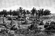 The last camping ground on the African mainland, 1890. Creator: Paterson